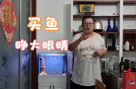 孔雀鱼与食蚊鱼：如何区分两种鱼的明显差异？