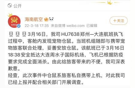 海航客舱惊现小仓鼠，航空公司回应真相揭晓！