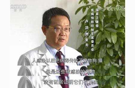 疫情之下，如何保障宠物的健康与安全？