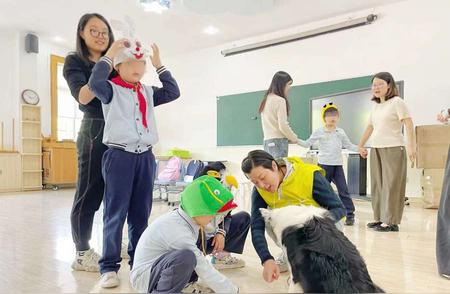 志愿者如何将宠物狗转变为治疗犬的奇迹之旅