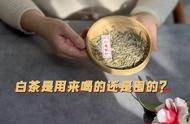 白茶：是饮品还是投资？普通茶爱好者，家里需要大量储备茶叶吗？