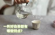 性价比高的白茶，具备以下七个特点，你的茶符合标准吗？