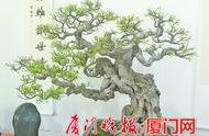 探索植物园百花厅：盆景、奇石与书画的完美融合