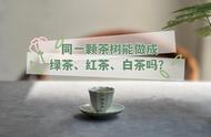 茶的六大分类：如何理解茶圈的多样性？