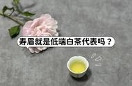 白毫银针与寿眉：高端茶与低端茶的对比