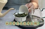 新白茶口感苦涩难入口？掌握这5个泡茶技巧，轻松学会！