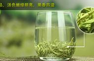 碧螺春：你真的了解她吗？