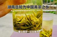 黄茶的种类，你了解多少？