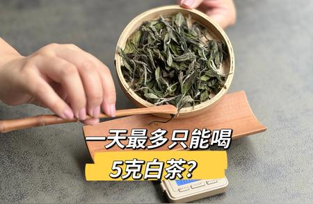 每天应该喝多少白茶？专家告诉你最佳饮用量