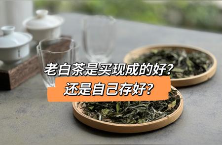 为什么要自己存老白茶？