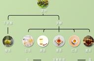 六大茶类一览：图解带你深入了解