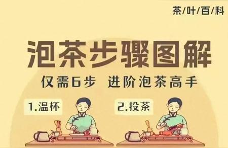 泡茶新手进阶：图解6步成高手