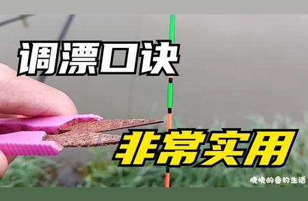 掌握这些调漂口诀，轻松成为钓鱼高手！