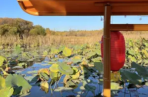 水上市集：探寻旅游中的别样风情