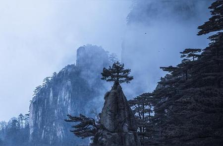 金峻山诗选：妙笔生花背后的故事