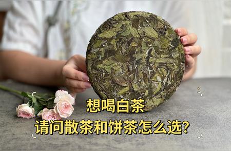 白茶选购指南：如何找到适合自己的白茶？