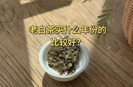 白茶新手购买指南：品类与年份选择全解析