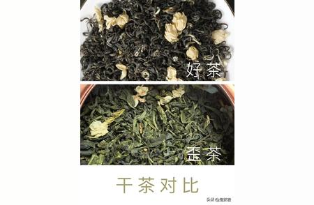 茉莉花茶：价格背后的品质差异解析