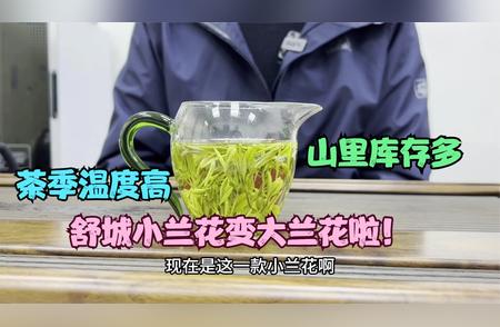 揭秘：今年为何暂停销售舒城小兰花茶？原因令人惊讶！