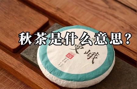 秋茶：定义、口感与品鉴指南