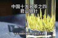 中国十大名茶之君山银针：独特的魅力与品味