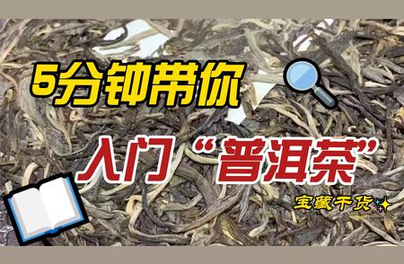 普洱茶知识百科：从零开始到茶艺高手的指南