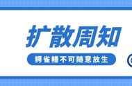 鳄雀鳝放生须知：正确做法与注意事项