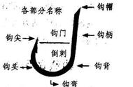 钓鱼爱好者必备：鱼钩种类与选购技巧