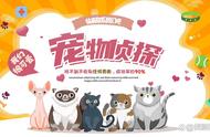 市区寻猫指南：6种高效找猫技巧