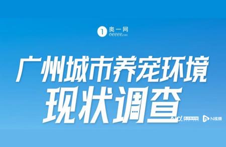 解密宠物美容培训市场：速成培训与认证乱象解析