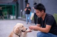 揭秘90后宠物训练师：如何与宠物建立良性对话？