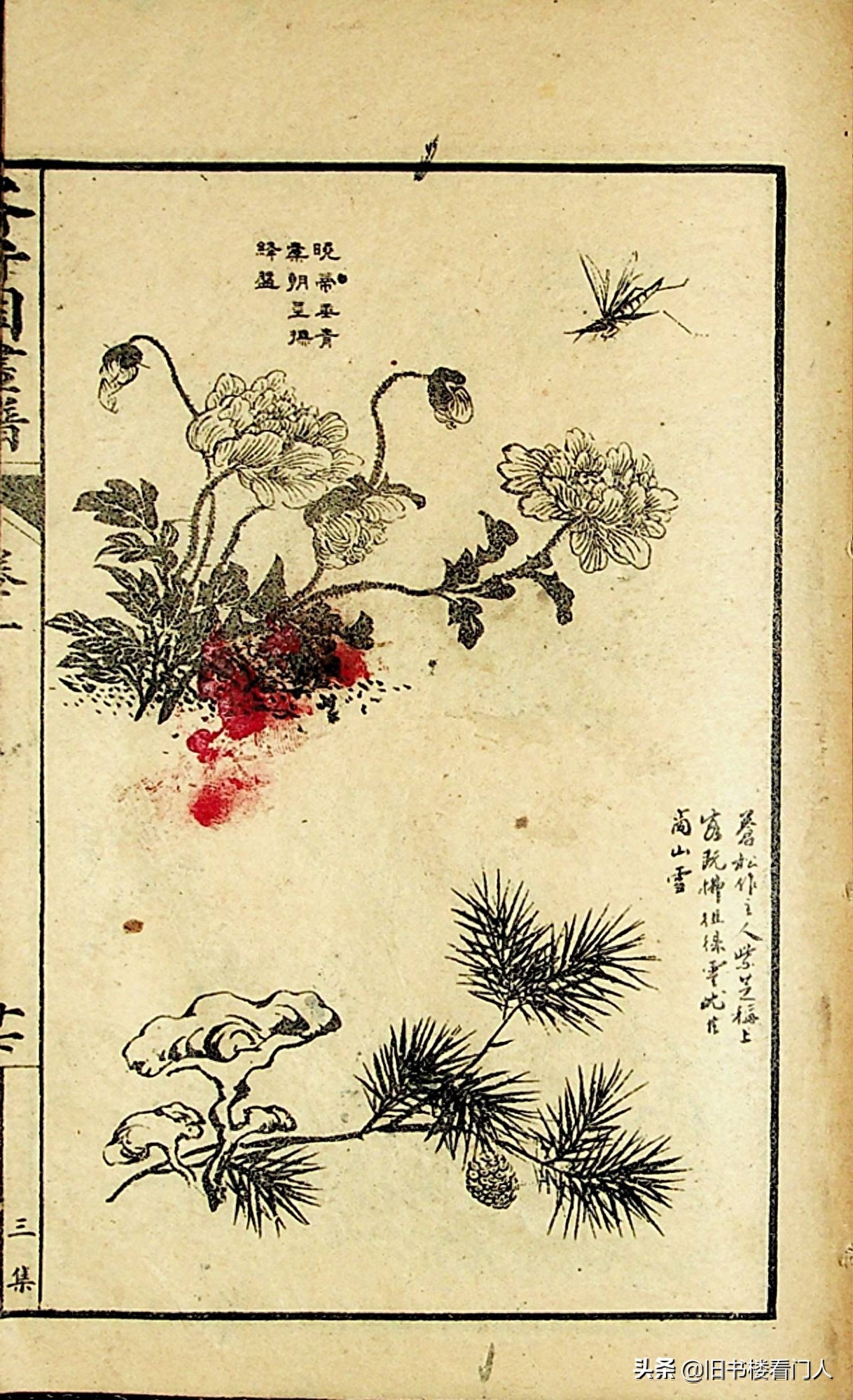 艺术类学画必修之书－《芥子园画谱·草虫花卉谱》