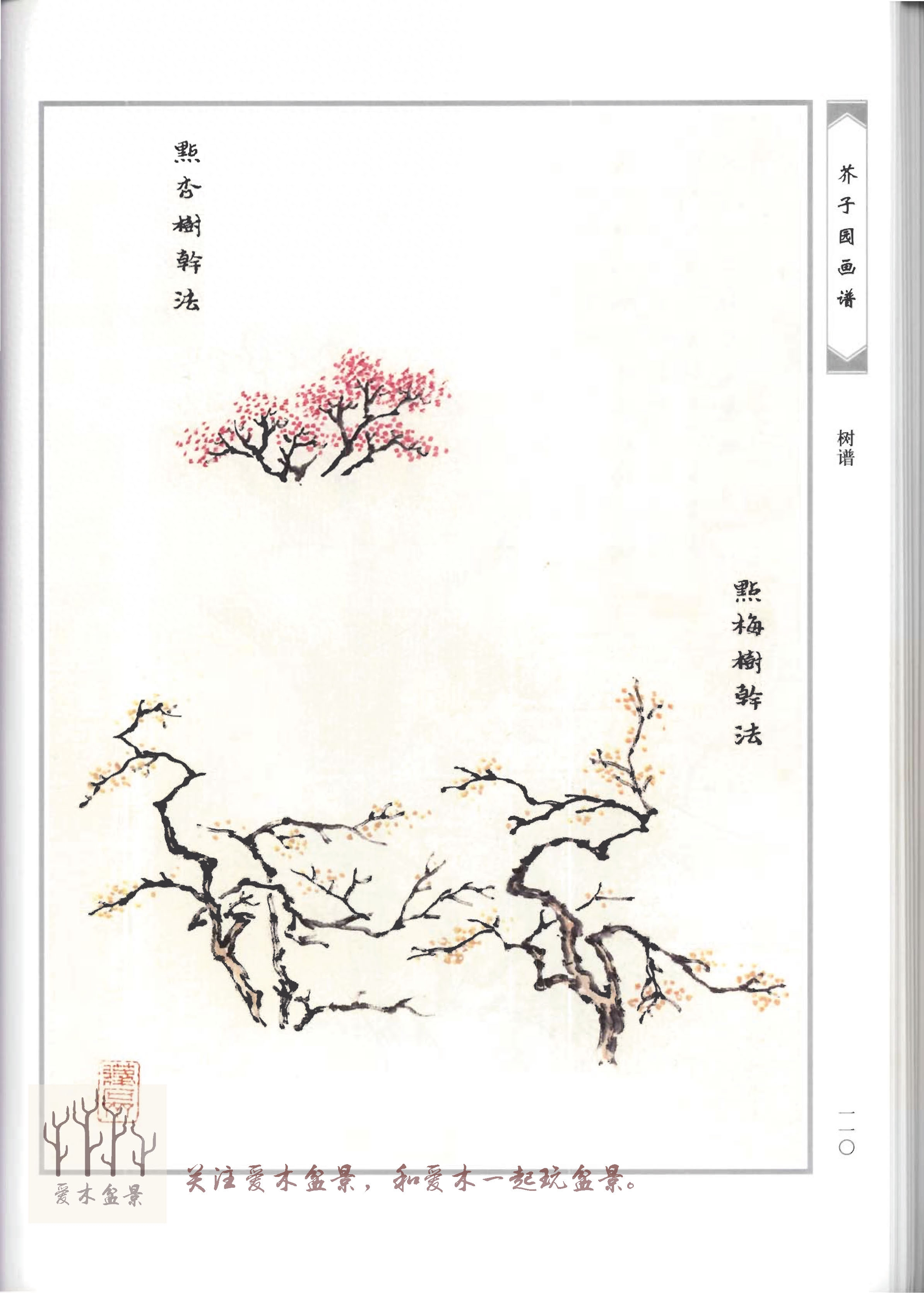 爱木盆景I《芥子园画谱-树谱》分享结文，盆景造型值得参考的范例