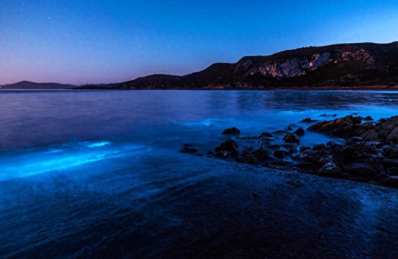 澳海湾现生物发光现象 霓虹蓝照亮夜空